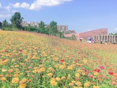 -长春世界雕塑园冰雪艺术天地