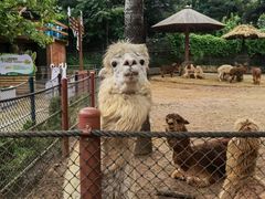 -大连森林动物园