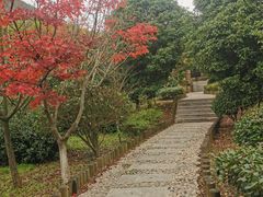 -九龙潭景区