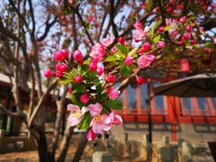 -北京动物园