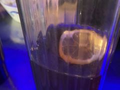 -炉鱼(平湖八佰伴店)