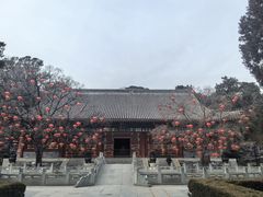 -香山公园-东宫门售票处