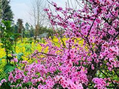 -中国天府农业博览园