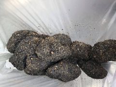 -叶氏麻糍(鼓浪屿店)