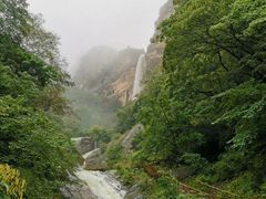 -青峰峡国家森林公园