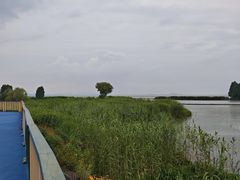 -贡湖湾湿地公园