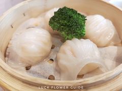 -丰鲤楼•闽南茶楼(仟禧汇店)