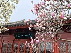 -八大山人梅湖景区