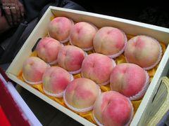 -南汇水蜜桃采摘(大团店)