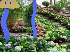 -广西壮族自治区药用植物园