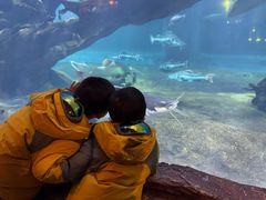 -华夏文旅海洋公园