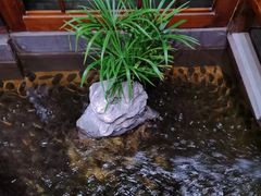 -尺山寸水日料(马桥满天星店)