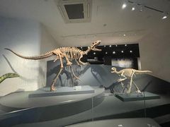 -自贡恐龙博物馆