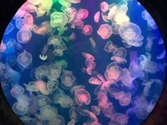 -成都浩海立方海洋公园