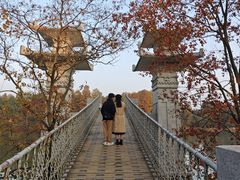 -东湖落雁景区