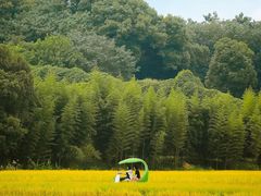 -良渚古城遗址公园