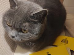 -春笙食堂.丼饭拉面寿司(GOGO新天地店)