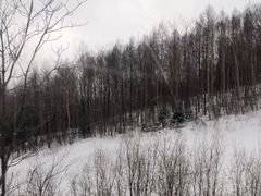 -长白山万达国际滑雪场