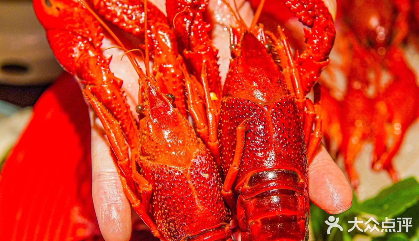 生腌熟醉抱盆炫‼️小龙虾生蚝可劲造‼️乔街开新店啦‼️