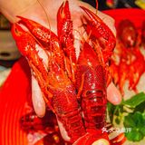 生腌熟醉抱盆炫‼️小龙虾生蚝可劲造‼️乔街开新店啦‼️