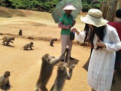 -海南热带野生动植物园