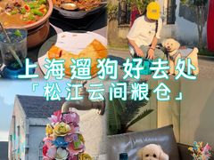 -云间粮仓
