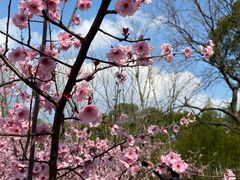-白塘生态植物园