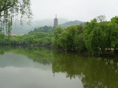 -天下玉苑
