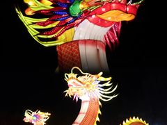 -北京国际鲜花港