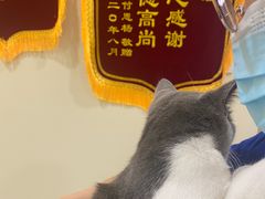 -萌兽医馆·犬猫专科·眼科中心·宠物医院(朝阳门分院)