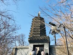 -高尔山公园