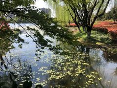 -杭州城北体育公园