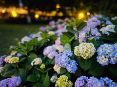 -常州古运河南大街文化旅游区-人民公园