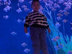 -沈阳海洋探索中心