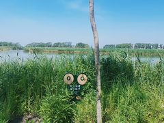 -白渔泡湿地公园