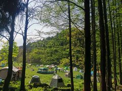 -武陵山森林公园