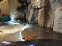 -香山湖家家宴(中山陵店)