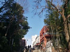 -井之头恩赐公园