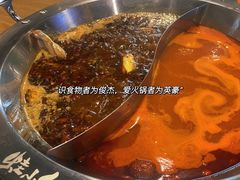 -铭记蛙小仙·活蛙畅享(CBD万达广场店)
