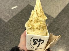-野人先生现做冰淇淋(深圳壹方城店)