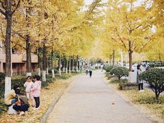 -浙江农林大学(东湖校区)