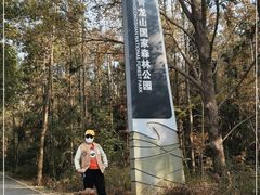 -青龙山国家森林公园