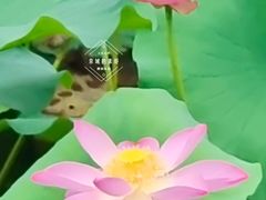 -颐和园