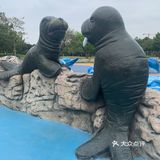 广州·白云｜广州市儿童公园🥳免费🥳