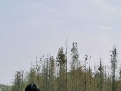 -白鹭湾湿地公园