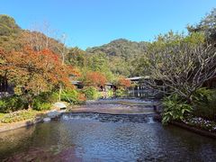 -云溪植物园