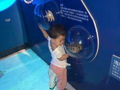 -沙沙哗啦海洋馆(华宇百花谷店)