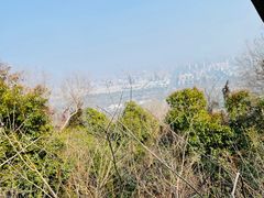 -大蜀山国家森林公园