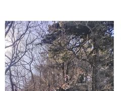 -华山风景名胜区