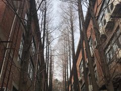 -凡德艺术街区